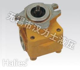 Gear pompe hydraulique E320/AP-12