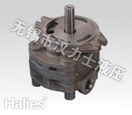 Gear pompe hydraulique SVD22